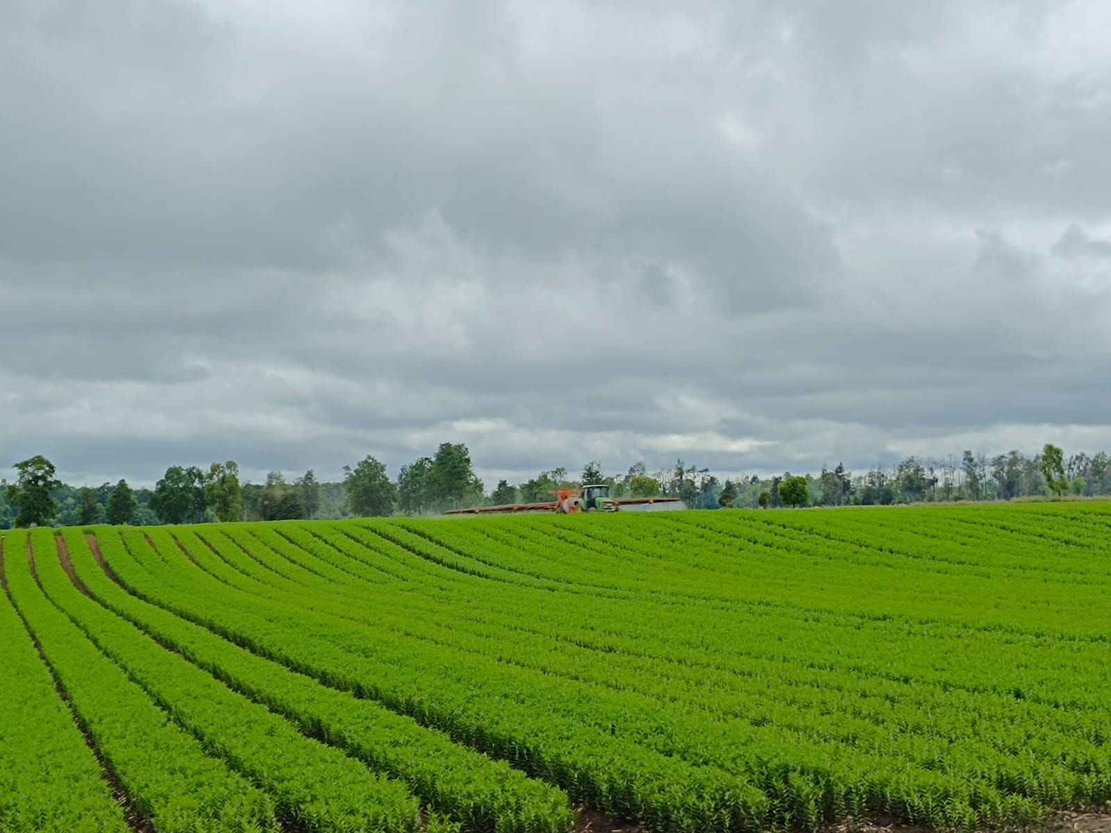 Agricultura de Precisión